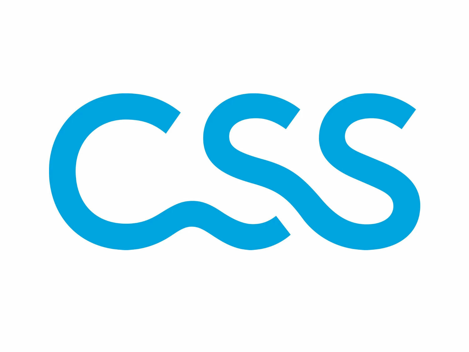 css-logo