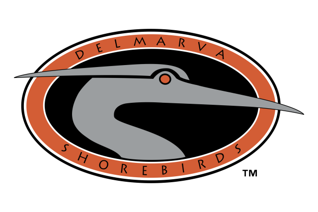 Delmarva Shorebirds Logo