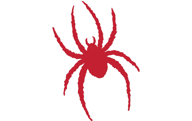 Richmond Spiders Logo