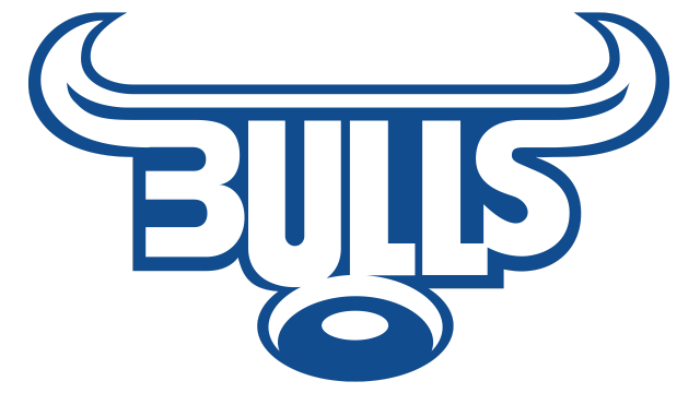 Bulls Logo