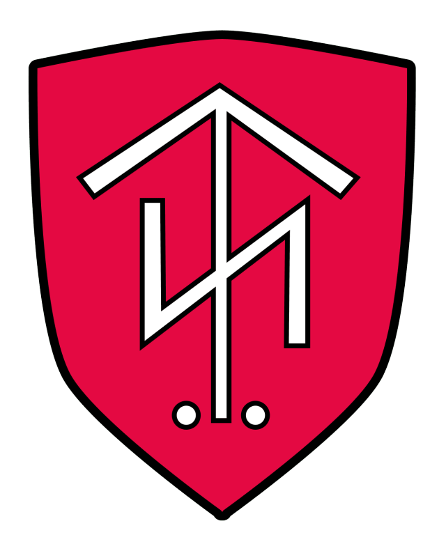 Thor Steinar Logo