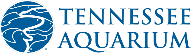 Tennessee Aquarium Logo