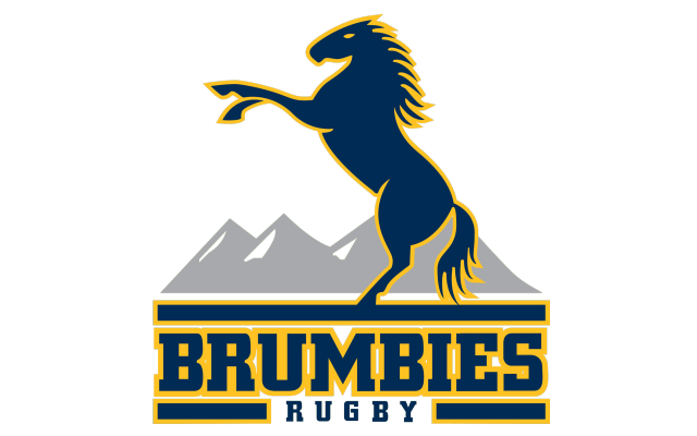 Brumbies Logo