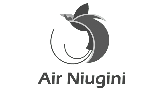 Air Niugini Logo