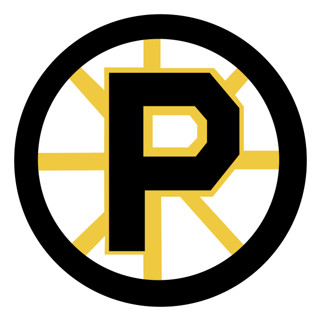 Providence Bruins Logo