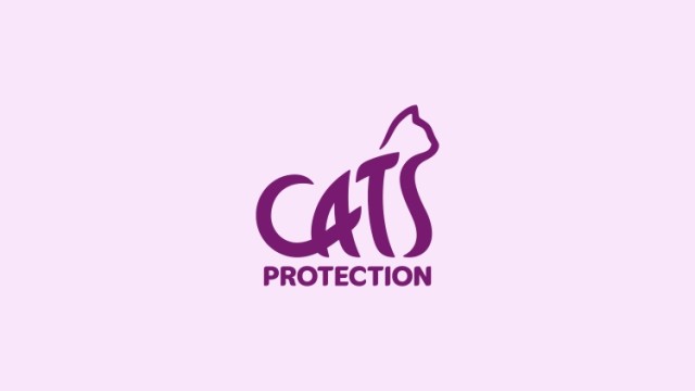 Cats Protection: Purrfect design for warmth and authority