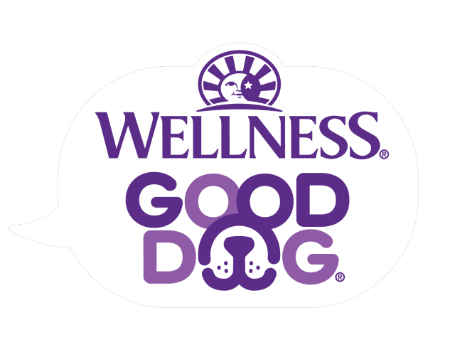 Logotipo de Wellness