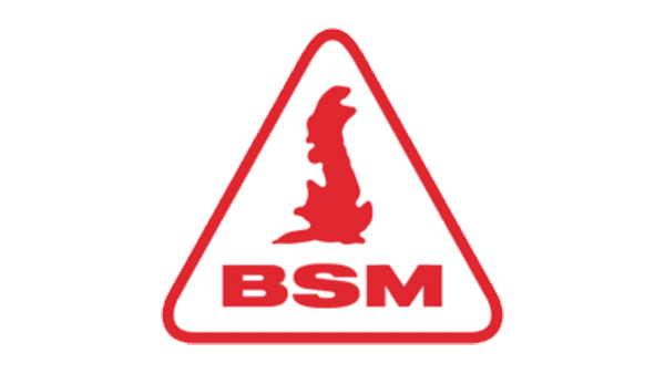 British School of Motoring Logo