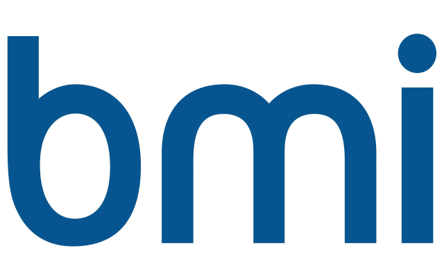 Flybmi Logo