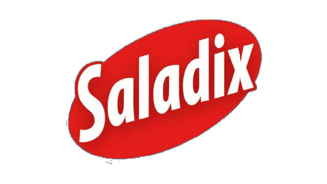 Logotipo de Saladix