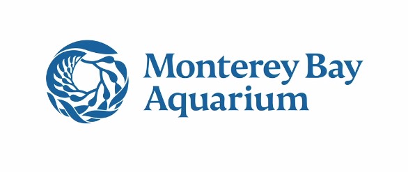 Monterey Bay Aquarium updates its idenitity, celebrating the 40th anniversary