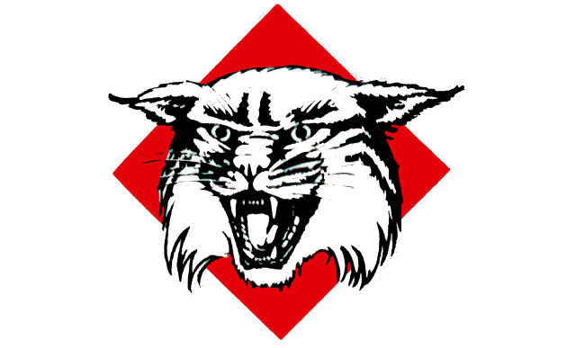 Davidson Wildcats Logo