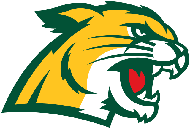 Northern Michigan Wildcats Logo