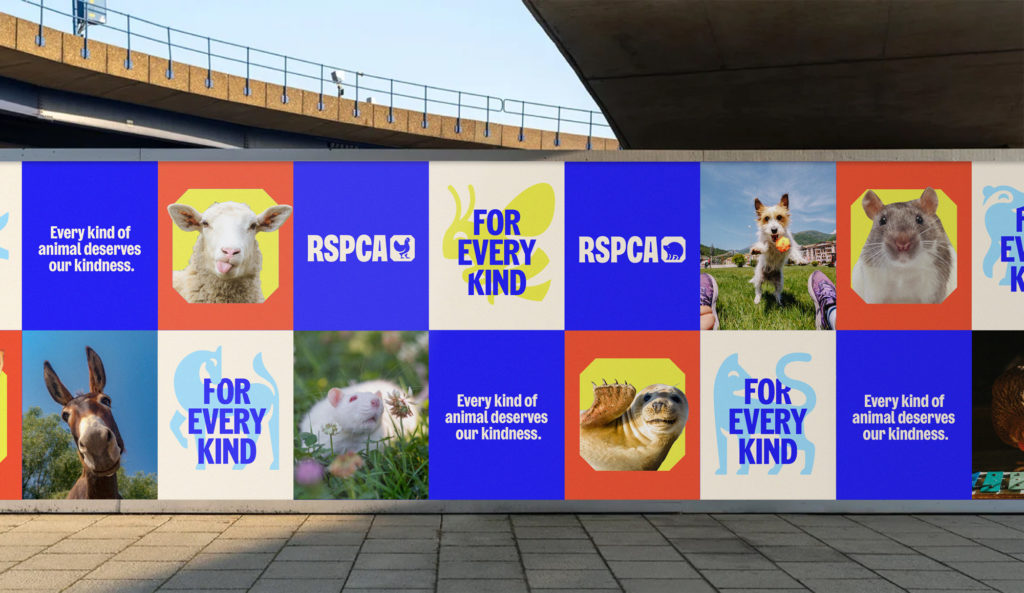 rspca-campaign