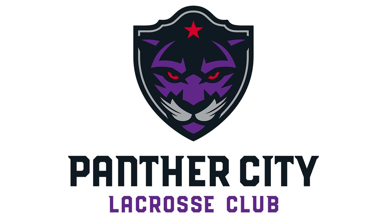 Panther-City-Logo